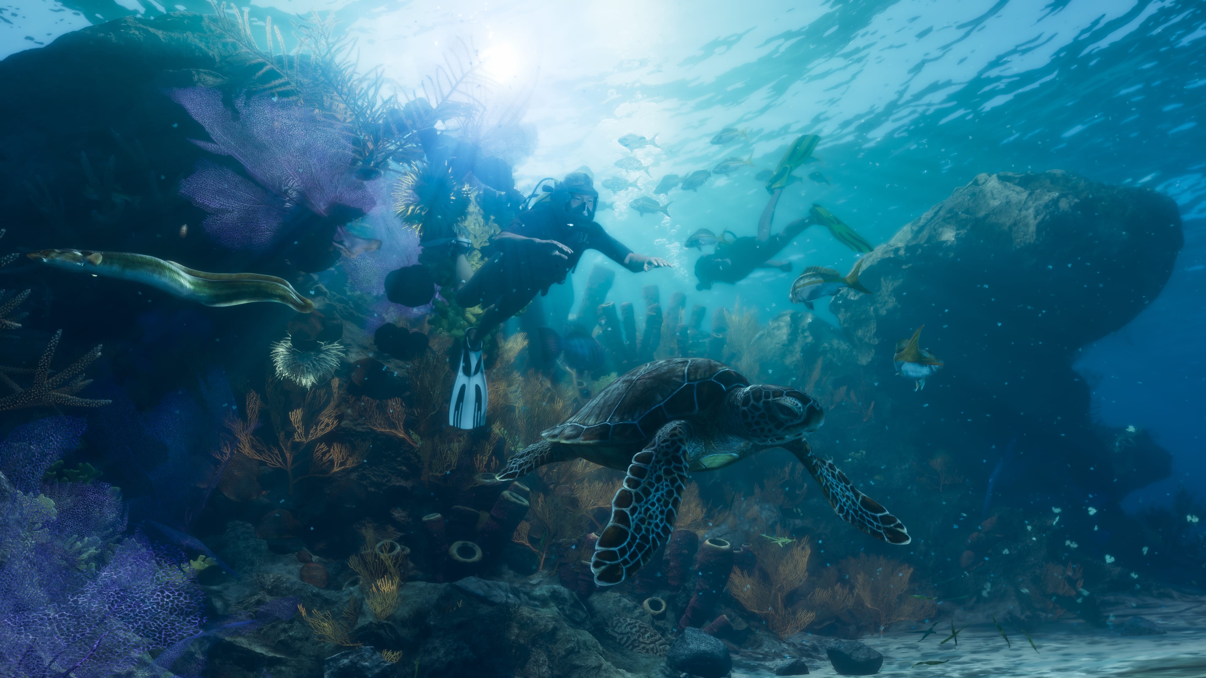 Leonida Keys Diving